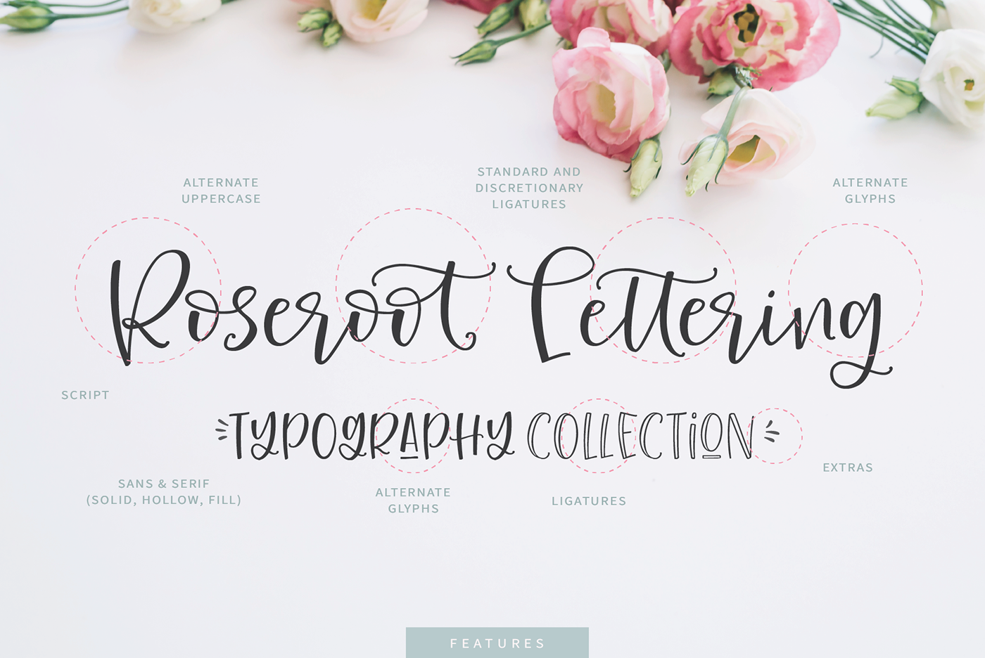 font typography   Calligraphy   wedding logo romantic Fashion  branding  bundle lettering