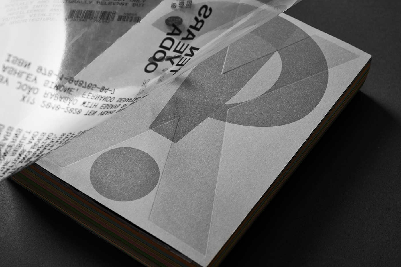 architecture cover editorial design  graphic design  Icon print symbol typography  