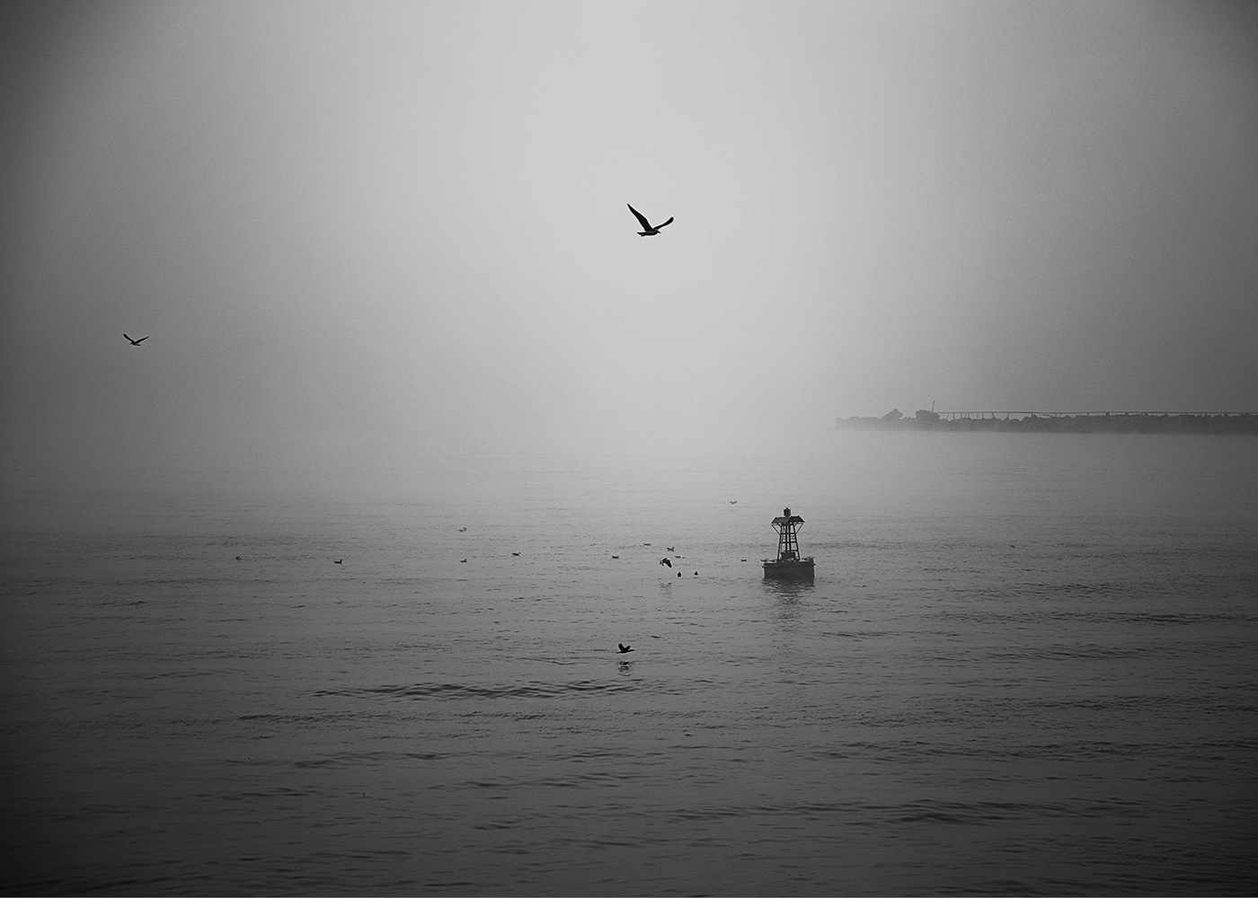 puerto buenos aires niebla fog river rio gris grey gaviota navigate