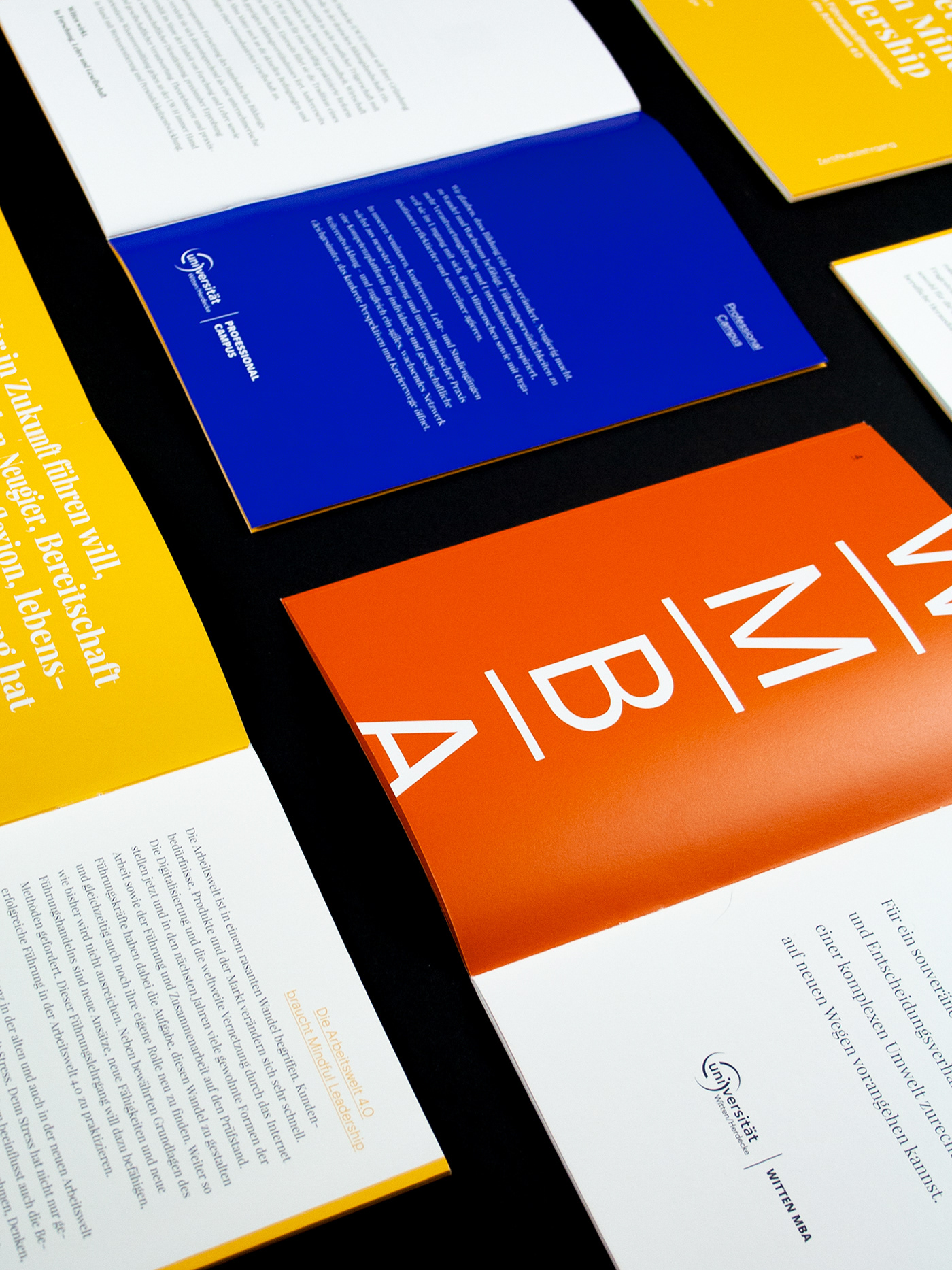 book Booklet broschure concept design editorial design  graphicdesign printdesign typography  