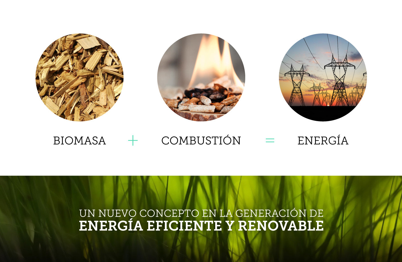 energia energy medio ambiente environment biomasa biomass