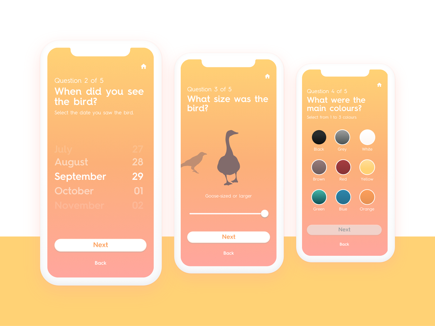app design UI ux user interface user experience app UI/UX birds Bird App Bird Search