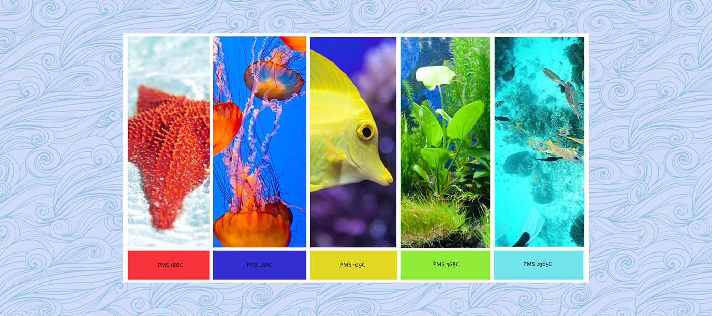 Image may contain: aquarium, reef and fish