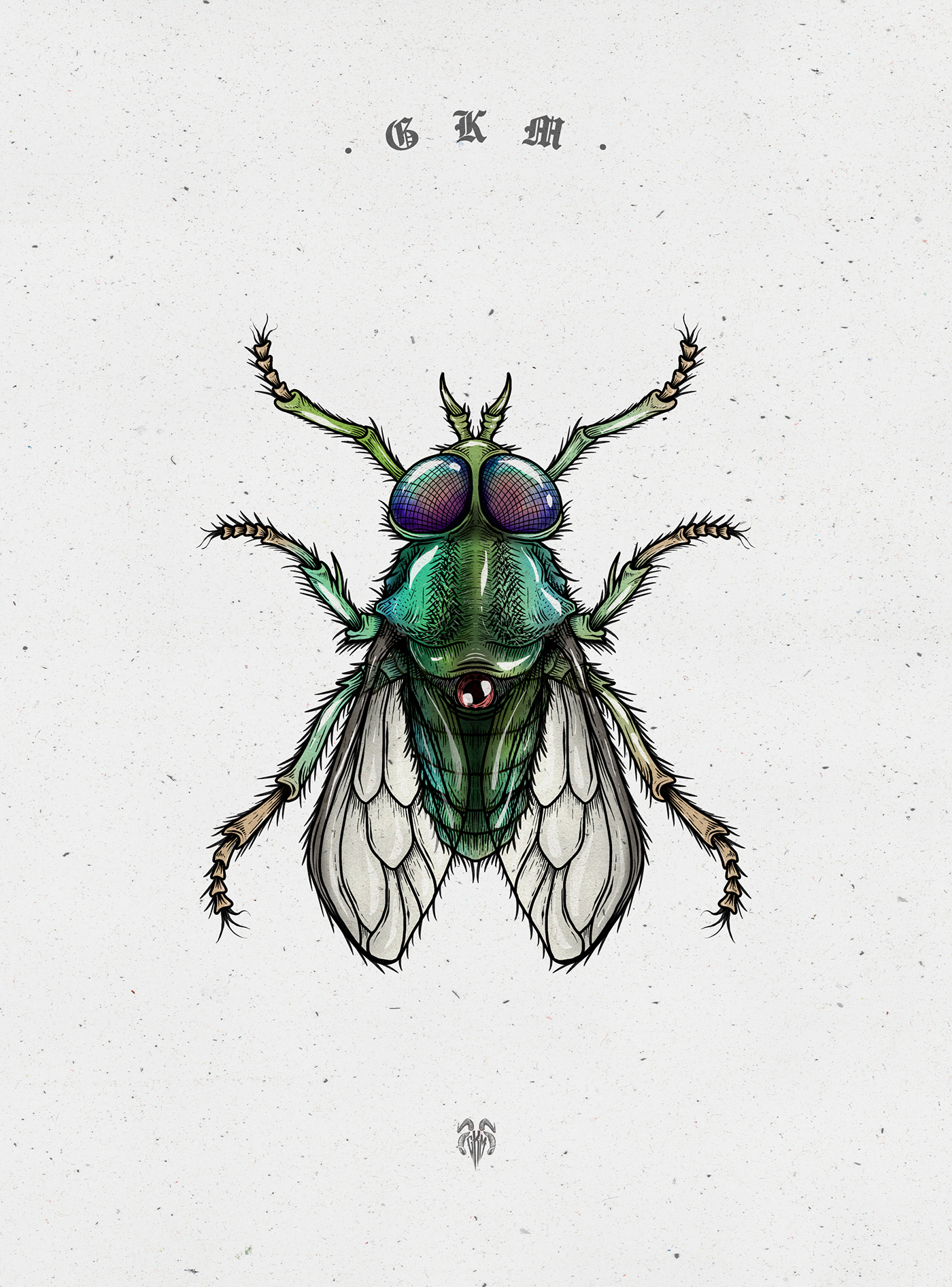insectos Insects ilustracion ILLUSTRATION  Procreate color texture draw art GKM