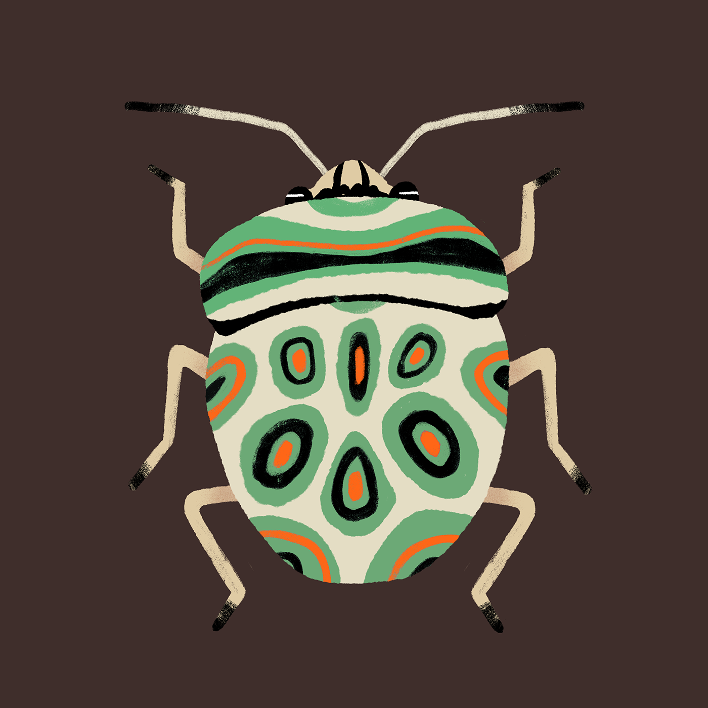 Insects bugs gif texture