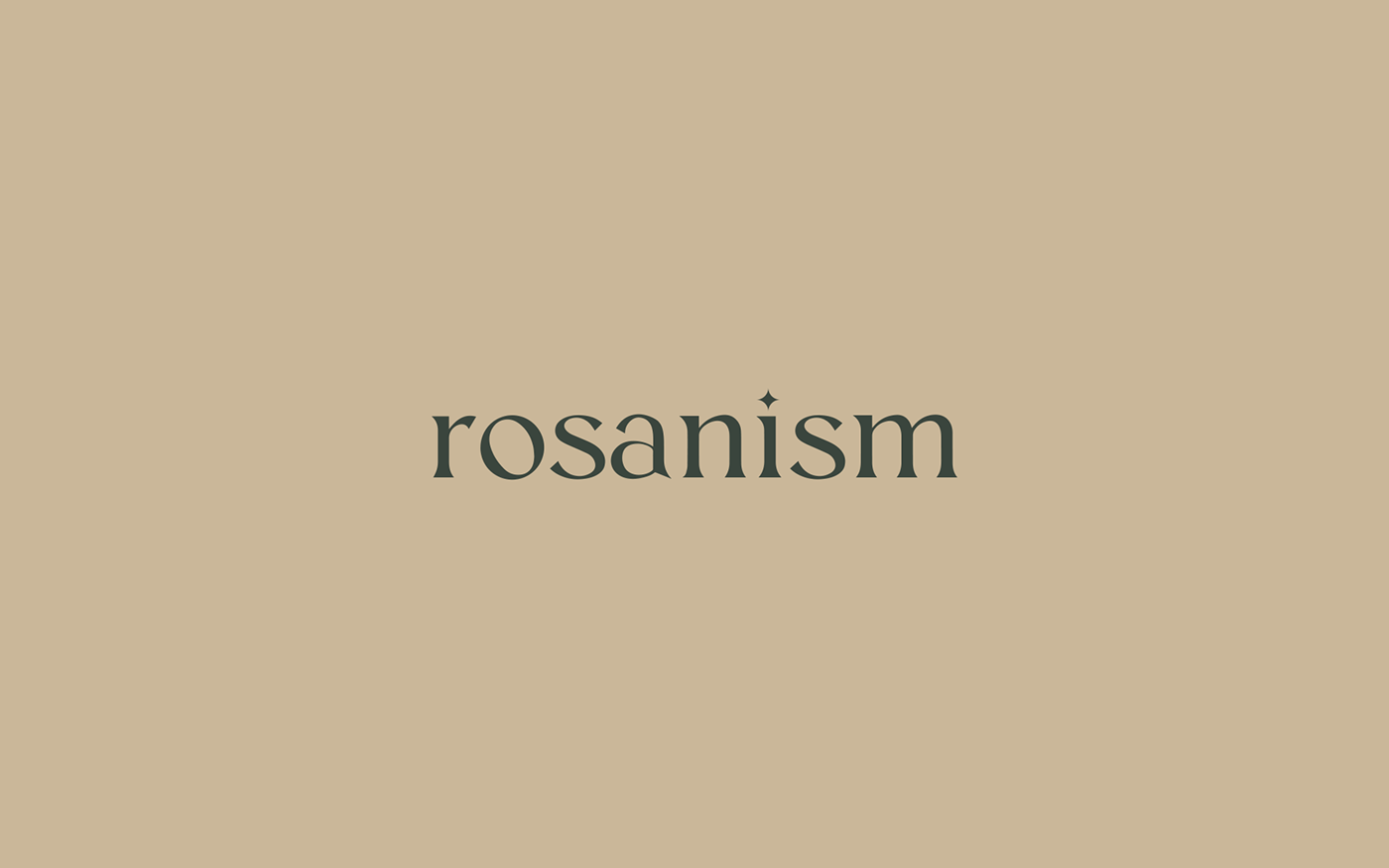 brand identity brand stationarity branding  florist folral shop logo Logo Design rosanism rose visual identity