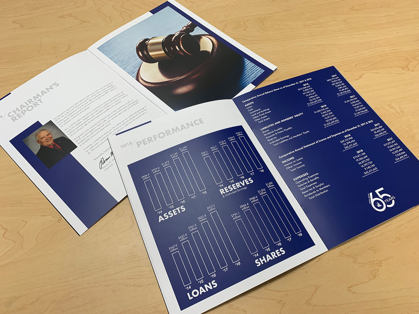 credit union financial graphic design  typography   annual report Layout editorial print