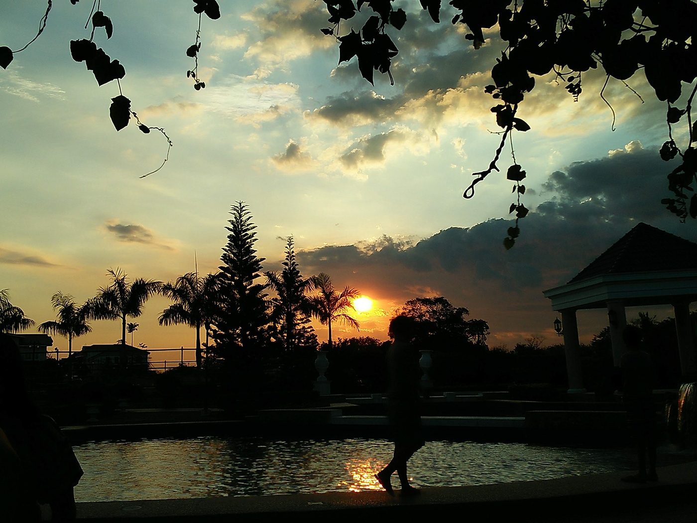 Versailles Palace alabang Silhouette sunset DUSK Flowers Photography 