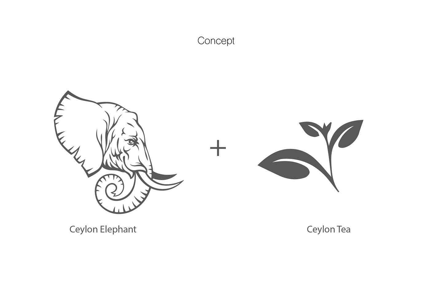 concept Packaging tea box srilanka Ceylon