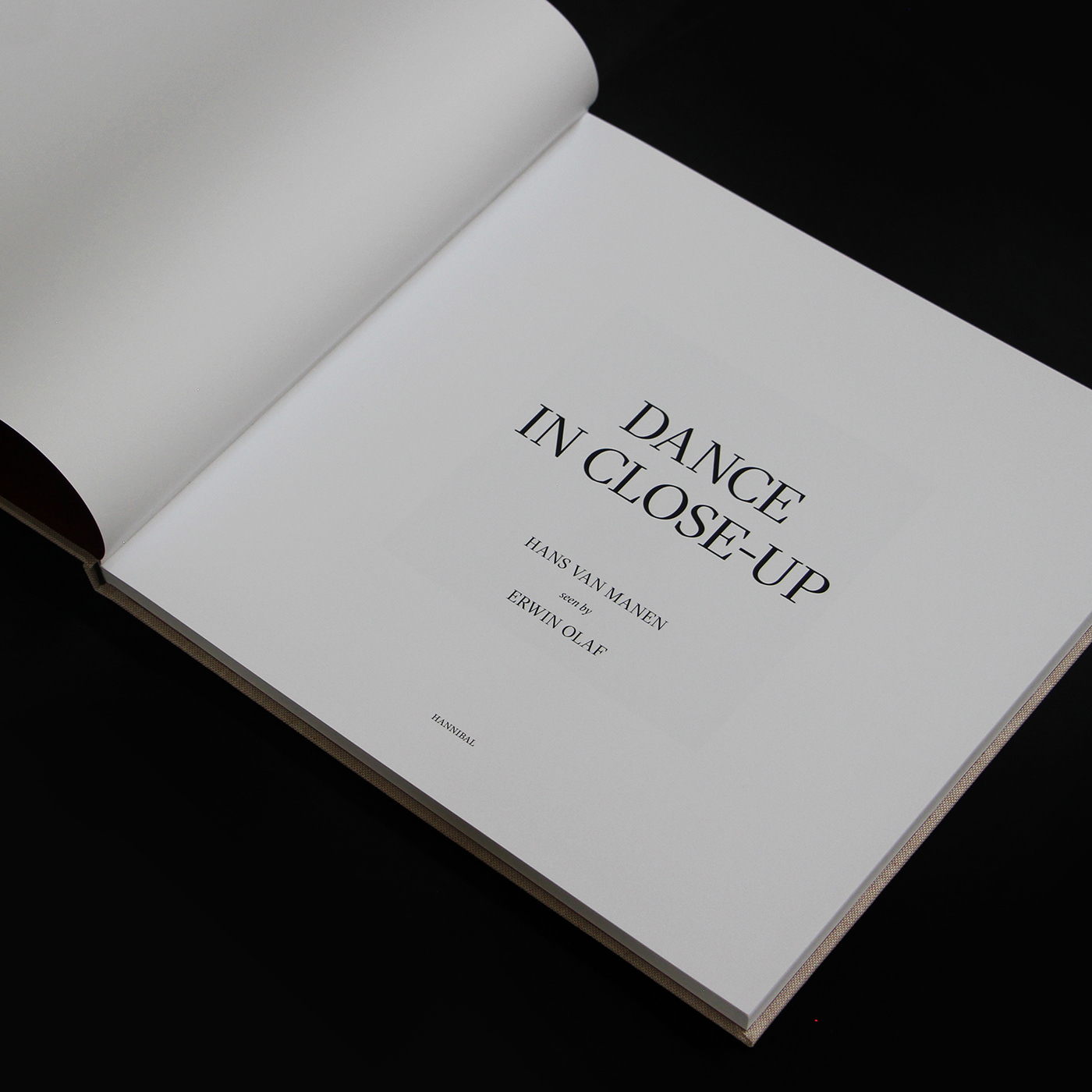 book design cover design Erwin Olaf hans van manen linen book photobook Photography 
