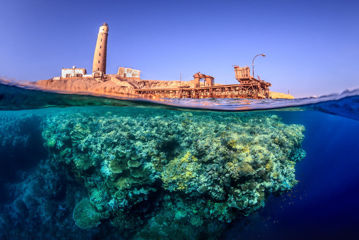 underwater scuba diving scubadiving split half splitshot UNDERWATER PHOTOGRAPHY Ocean water