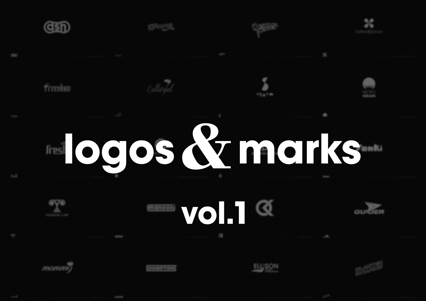 logo identity symbol dima rykov Logotype Collection Logo Design type marks Adobe Portfolio Corporate Identity