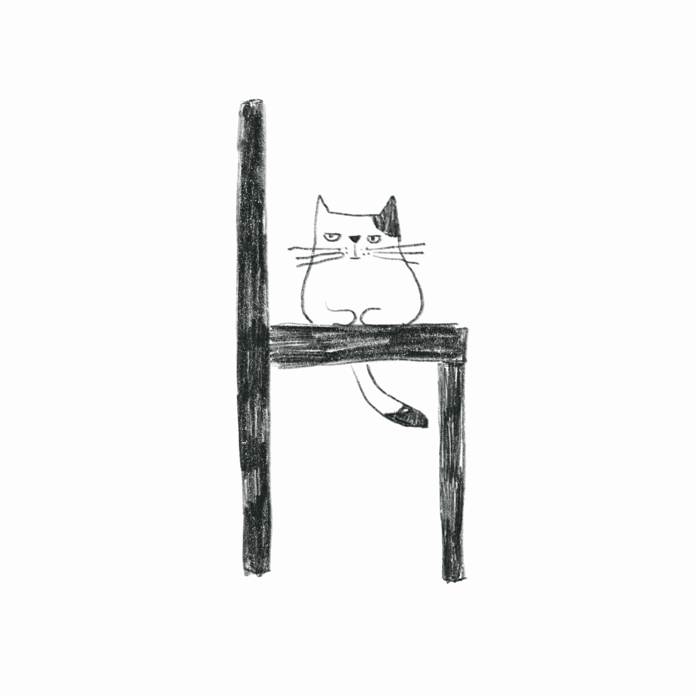 #cat   blackandwhite blackandwhiteillustration chairmodel gif gif animated grumpy illustratedgif