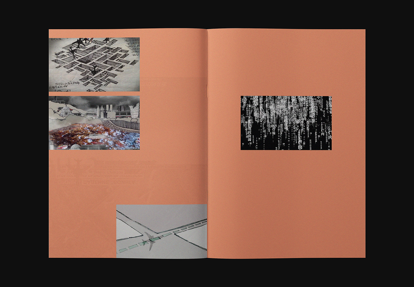artist book design editorial Layout print
