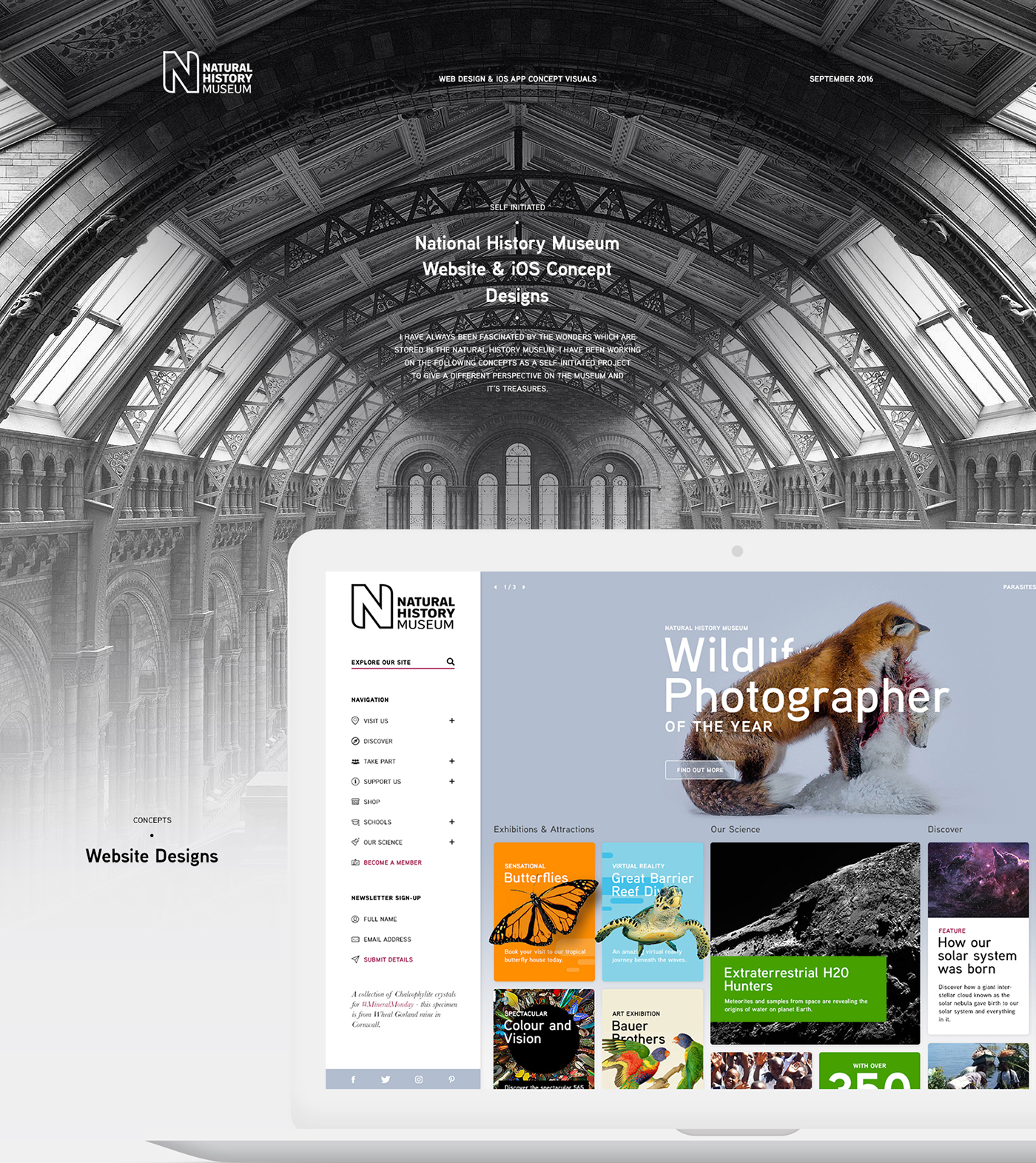 Website concept photoshop natural history museum Web Design  ios app clean minimalist Education