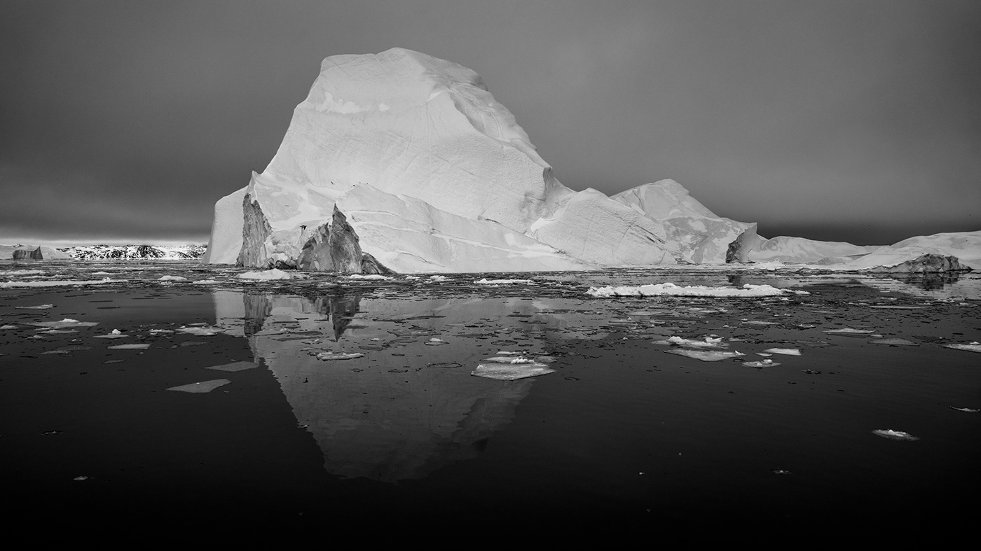 Greenland Arctic winter ice blackandwhite snow polar White dogs icebergs