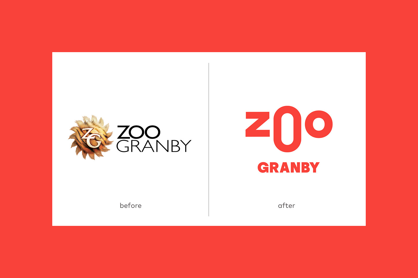 zoo animal animals color colorful Typographic Logo logo motion graphics  branding  identity