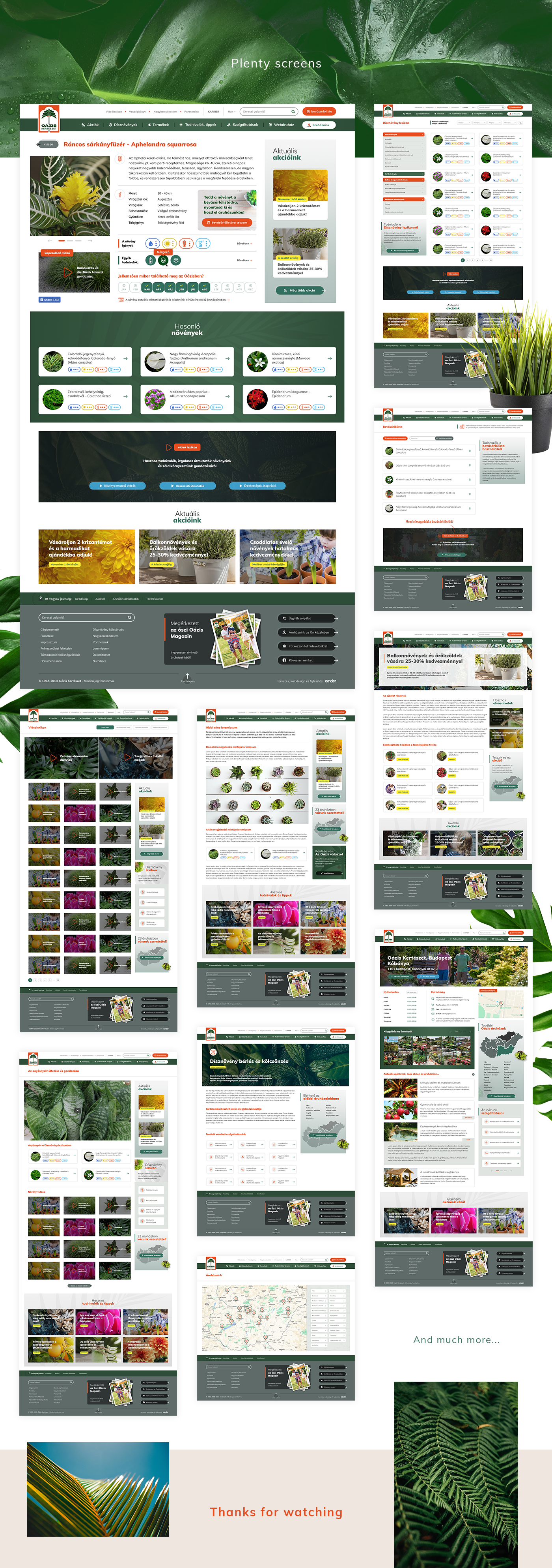 oazis garden kerteszet redesign plants Nature Responsive webshop Ecommerce magento