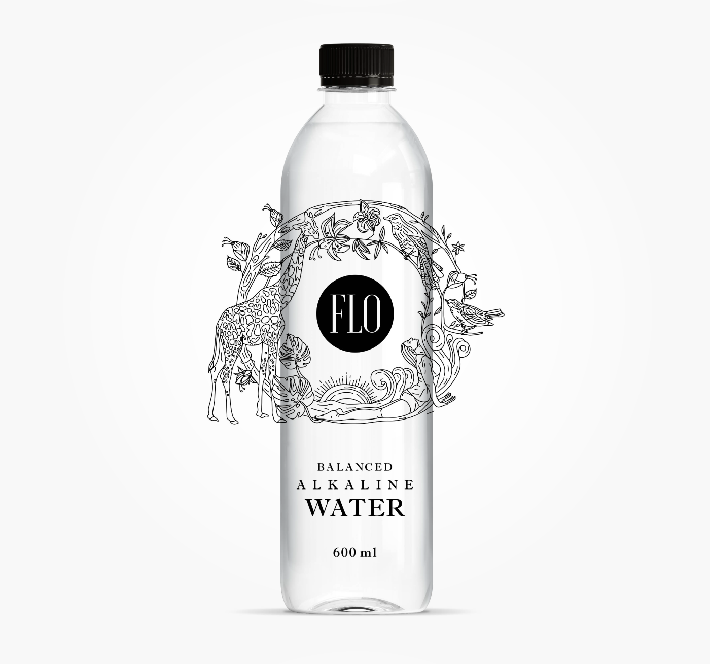 water bottle brand flo Packaging design ILLUSTRATION  naming strategy reformer