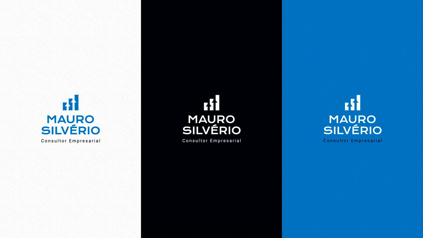 brand consultor consultor empresarial Consultoria Empresarial  designgrafico identidade visual identity Logotipo Logotype marca