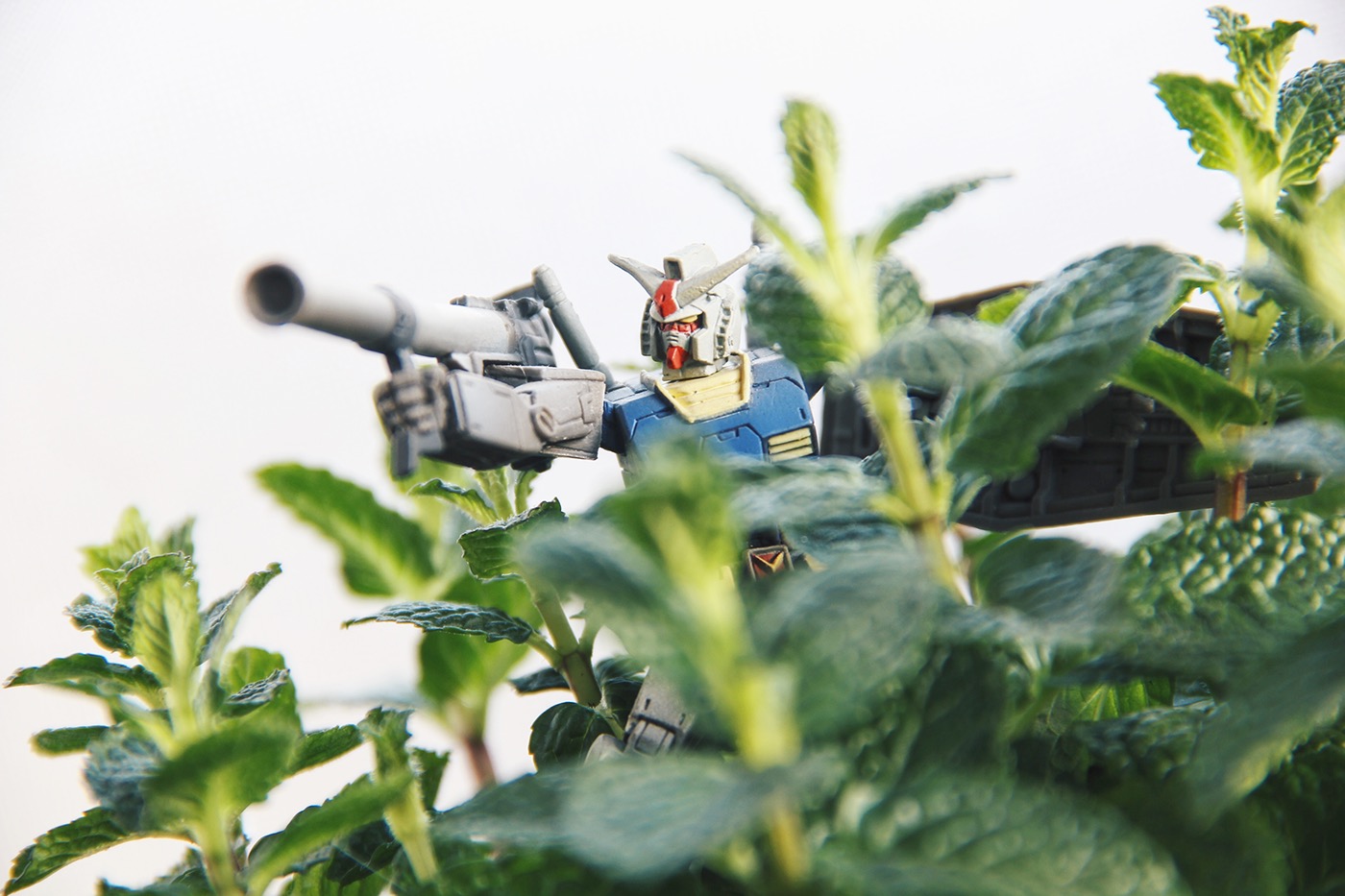 Plant Gundam