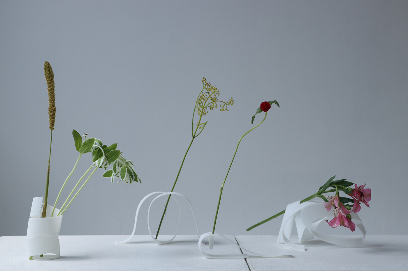 concept design Flowers Form industrial object Photography  product design  ribbon shape