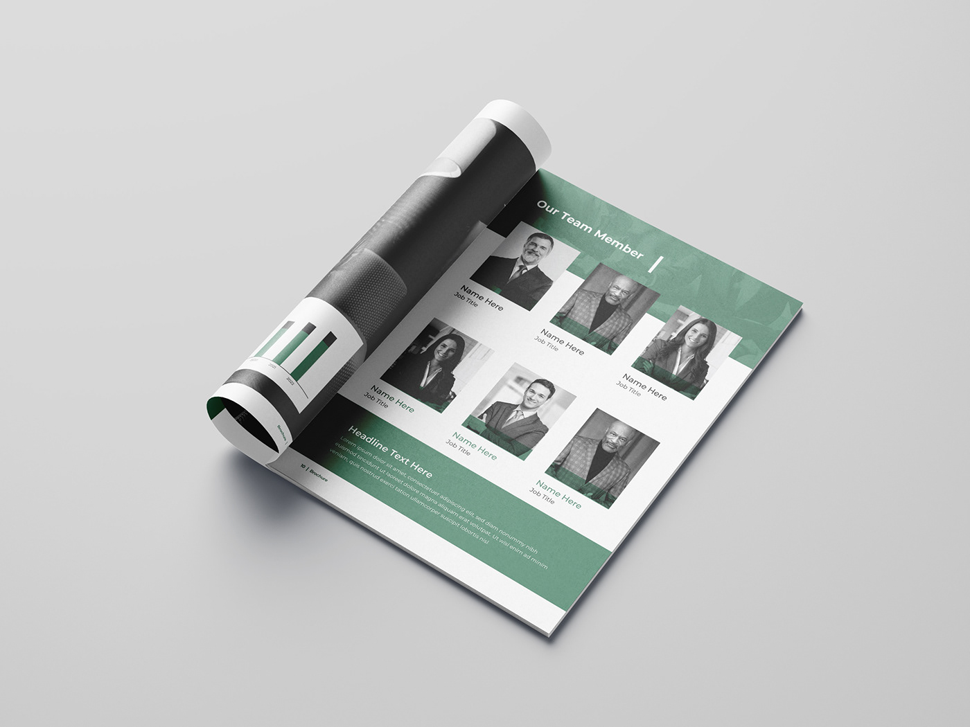 Annual Report layout book, brochure, brochure design, flyer, InDesign, Layout, magazine, typography,