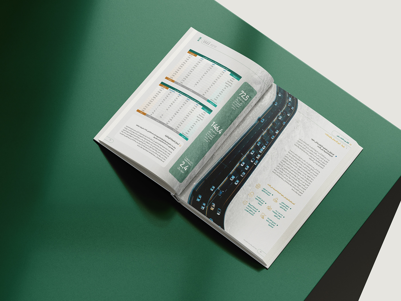annual report book cover InDesign infographic information design report