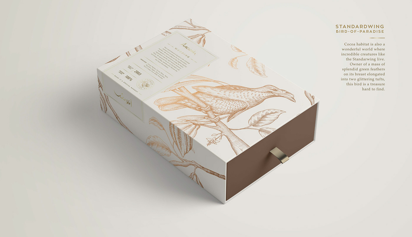 bird brand identity branding  chocolate Cocoa Coffee Drawing  Food  ILLUSTRATION  Packaging