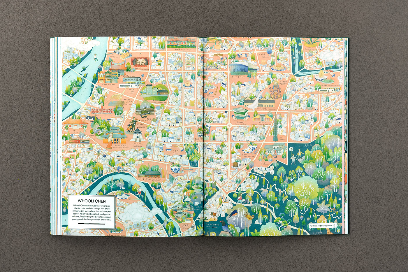 map map illustration Travel editorial book editorial design  poster book design ILLUSTRATION  typography  