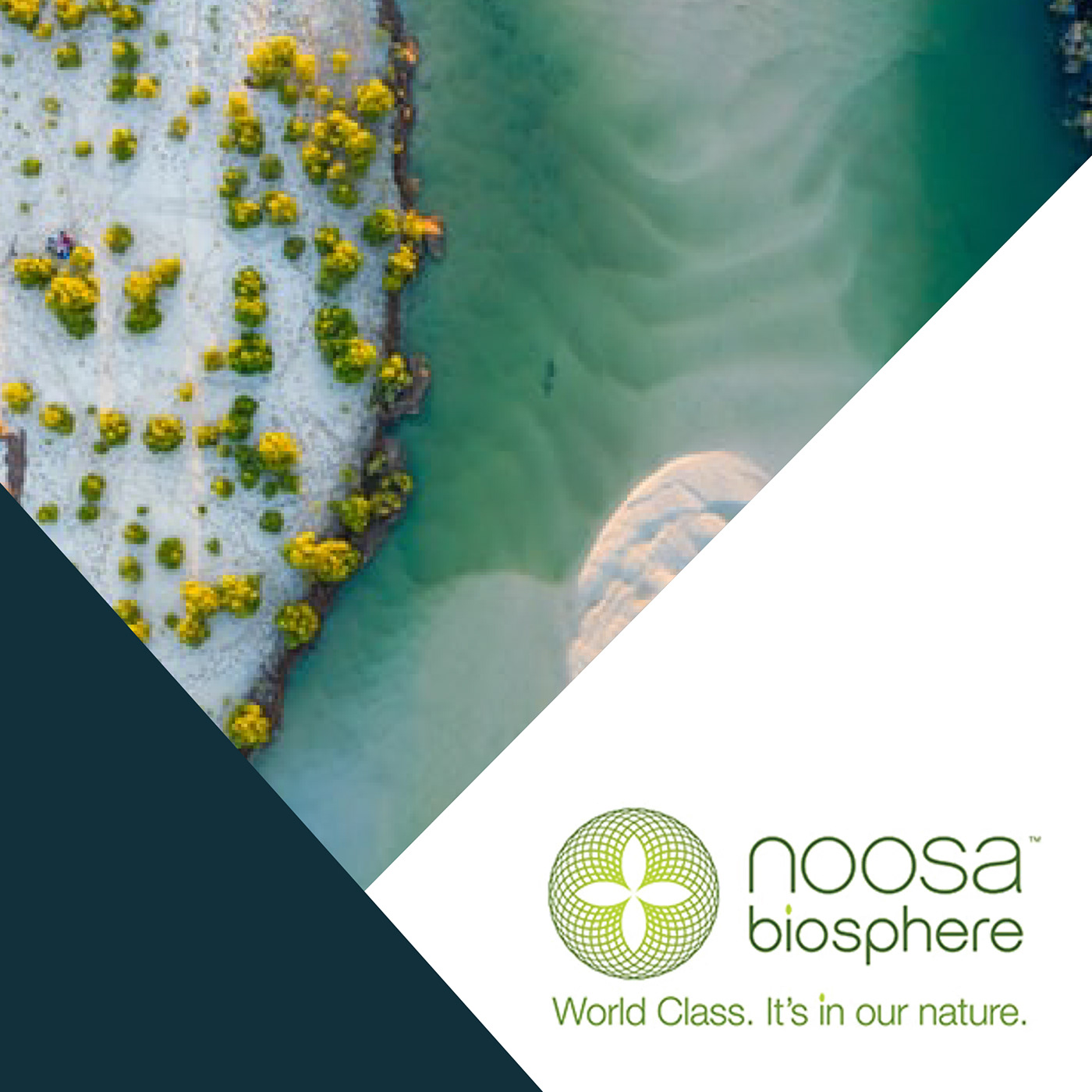 noosa Queensland Australia logo brand identity Social media post Graphic Designer marine The Nature Conservancy