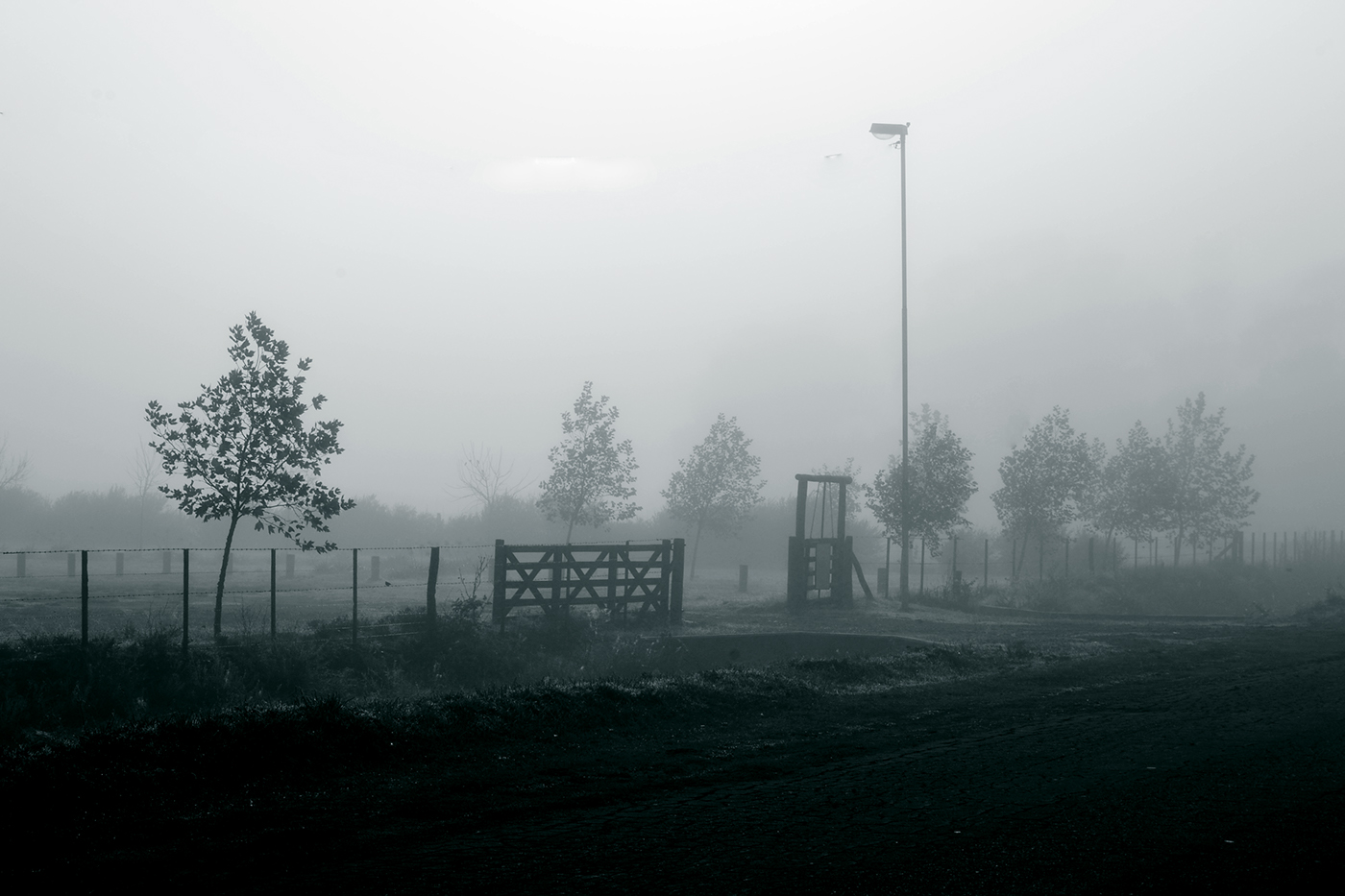 Fotos Fotografia niebla neblina blanco negro paisaje Landscape fog photo black and white wagon