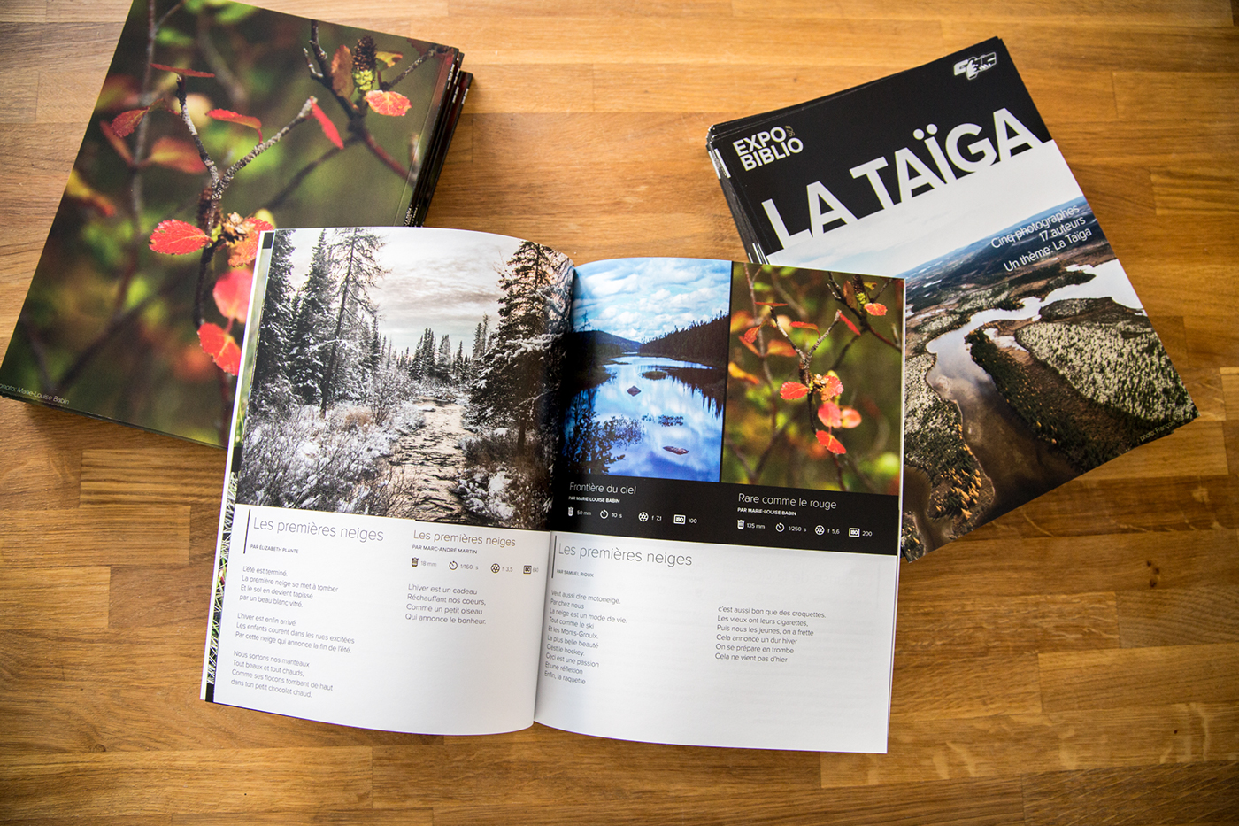 magazine exposition poésie taiga nord Quebec paysage print