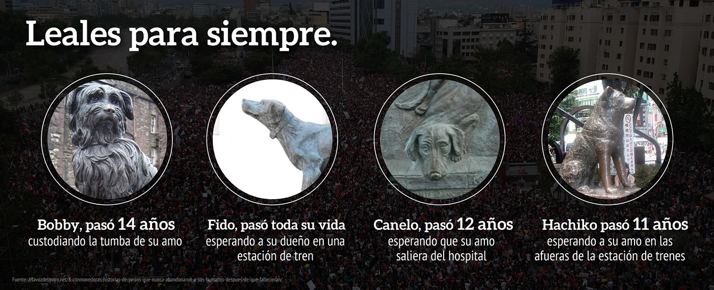 chile colombia ilustrator perros revolucion