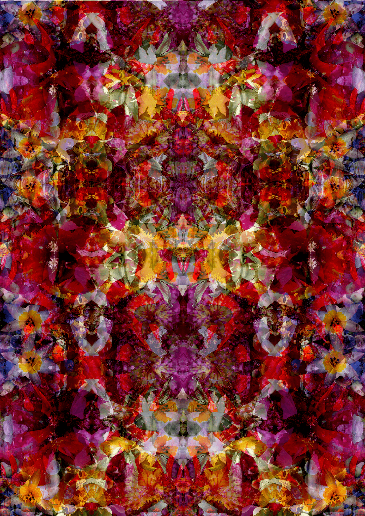 abstract Adobe Photoshop artwork colorful floral floralpattern Flowers fractal poster print design 
