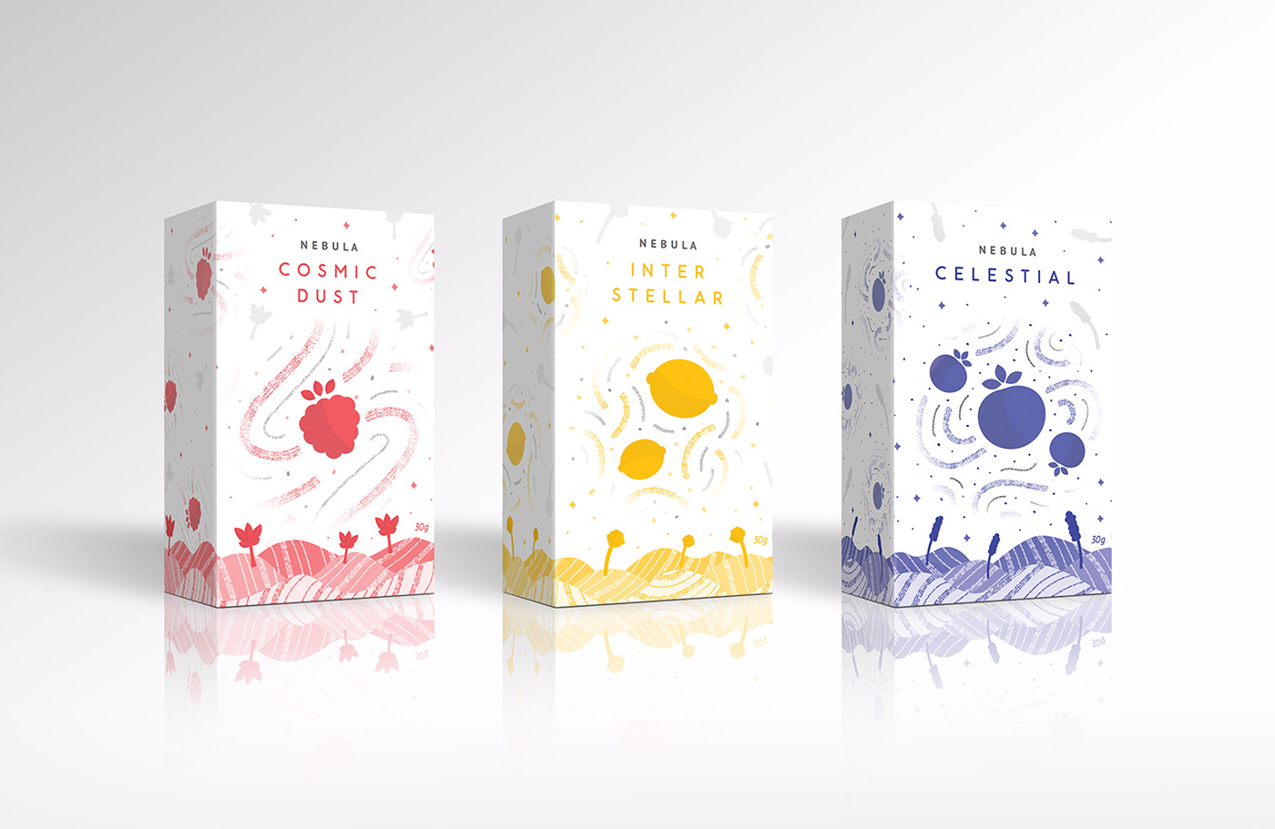 colour digital illustration Food  Food Packaging fruits graphic design  ILLUSTRATION  Packaging packaging design pattern