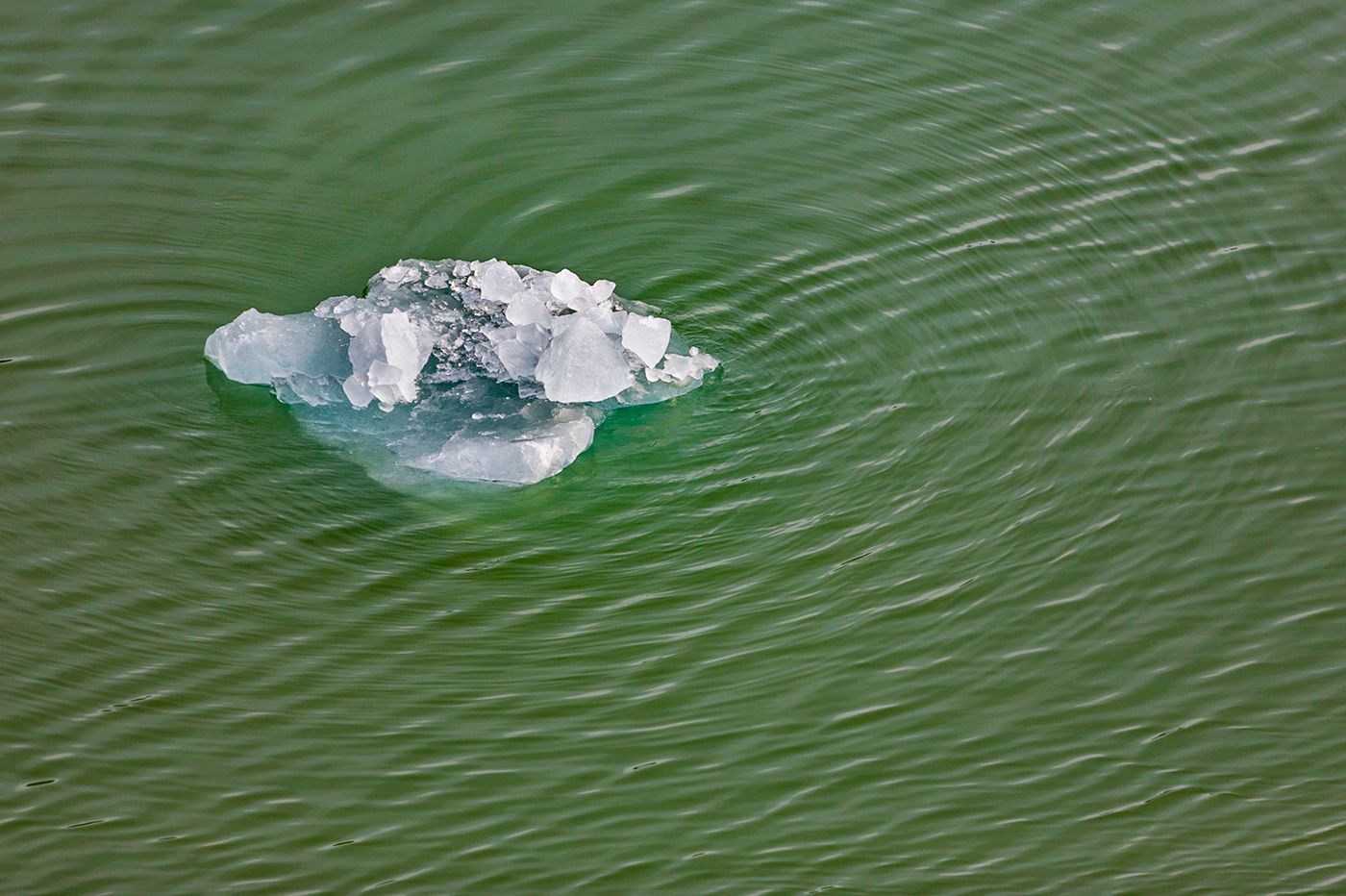 Alaska fjord glacier iceberg lightroom Nature Photography  photoshop tracy arm fjord water