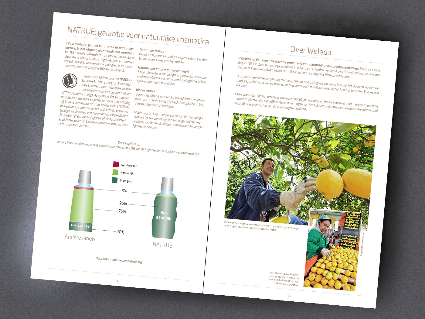brochure folder cosmetics Product Info
