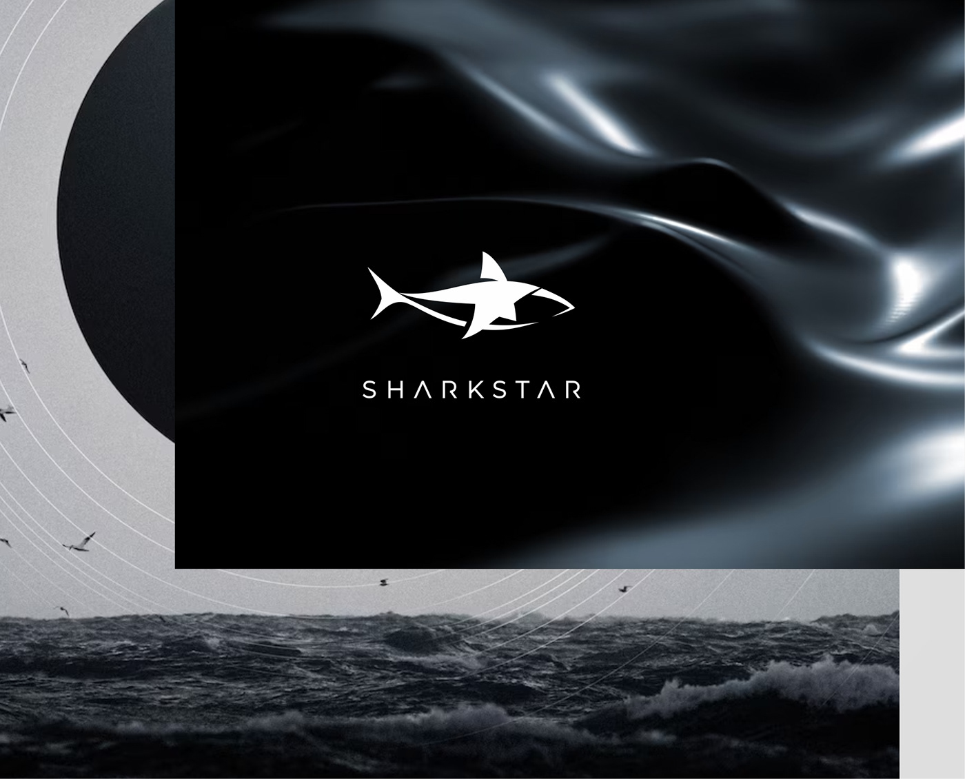 branding  Logo Design logos Minimalism minimalist logo musicart shark technomusic ukraine logo