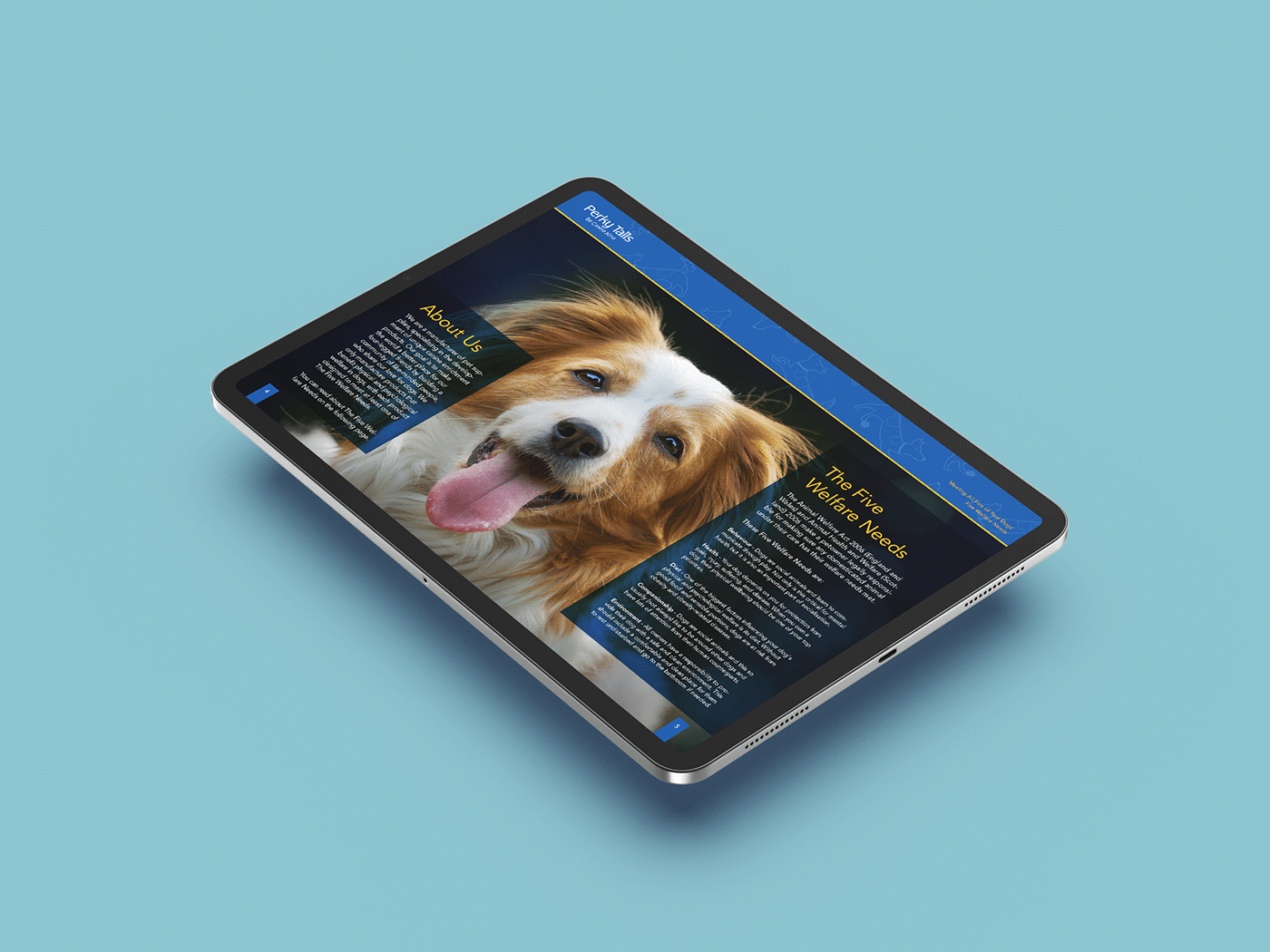 catalog Catalogue design dogs graphic Health pets product toys UK