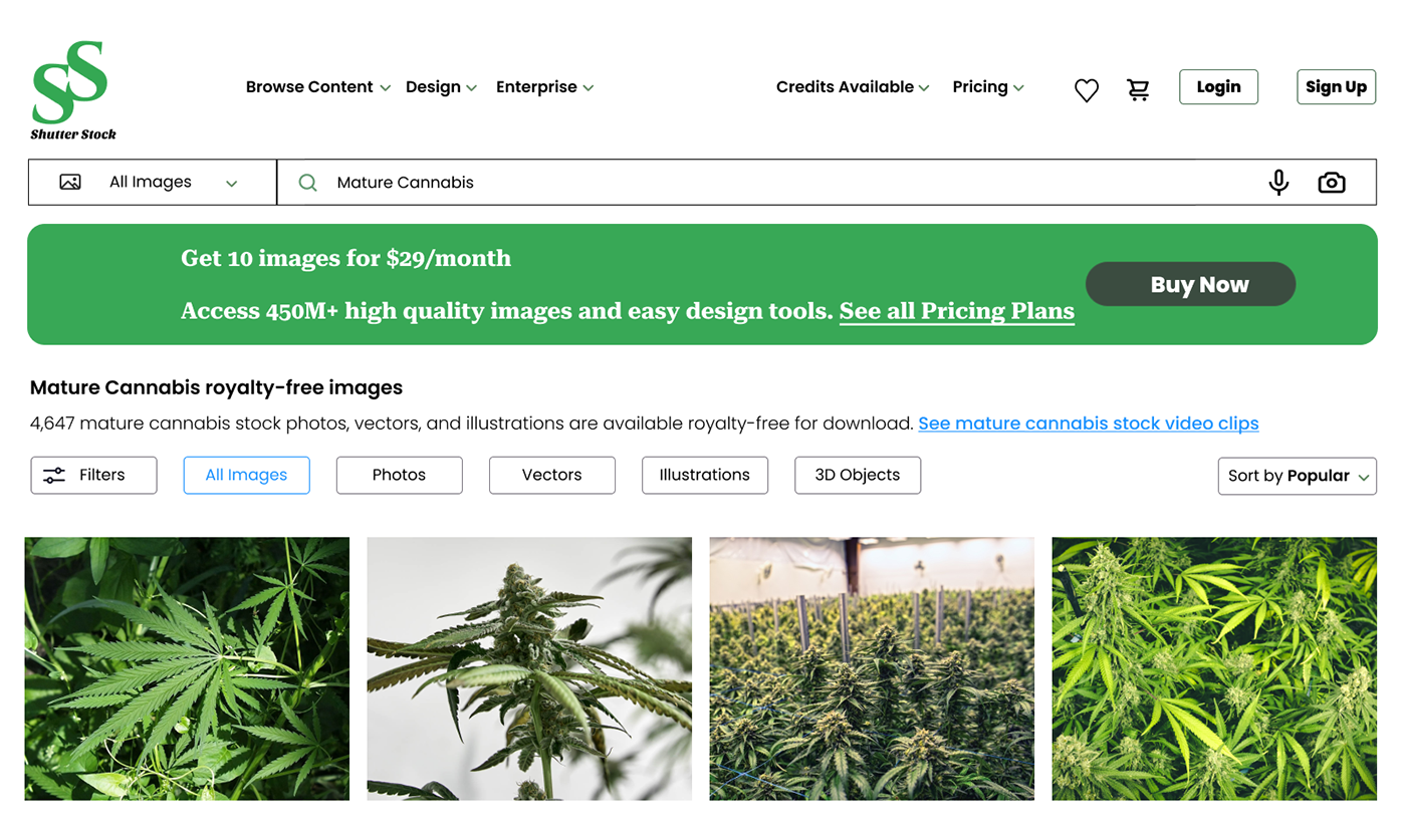 Figma uidesign Webdesign landing page UI/UX redesign Website typography   cannabies Pageredesign