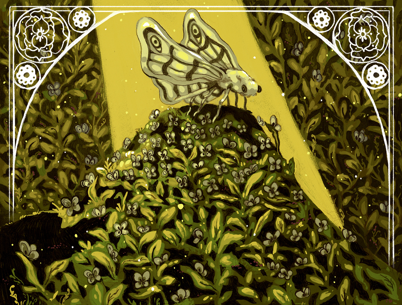 commission moth painting   ILLUSTRATION 