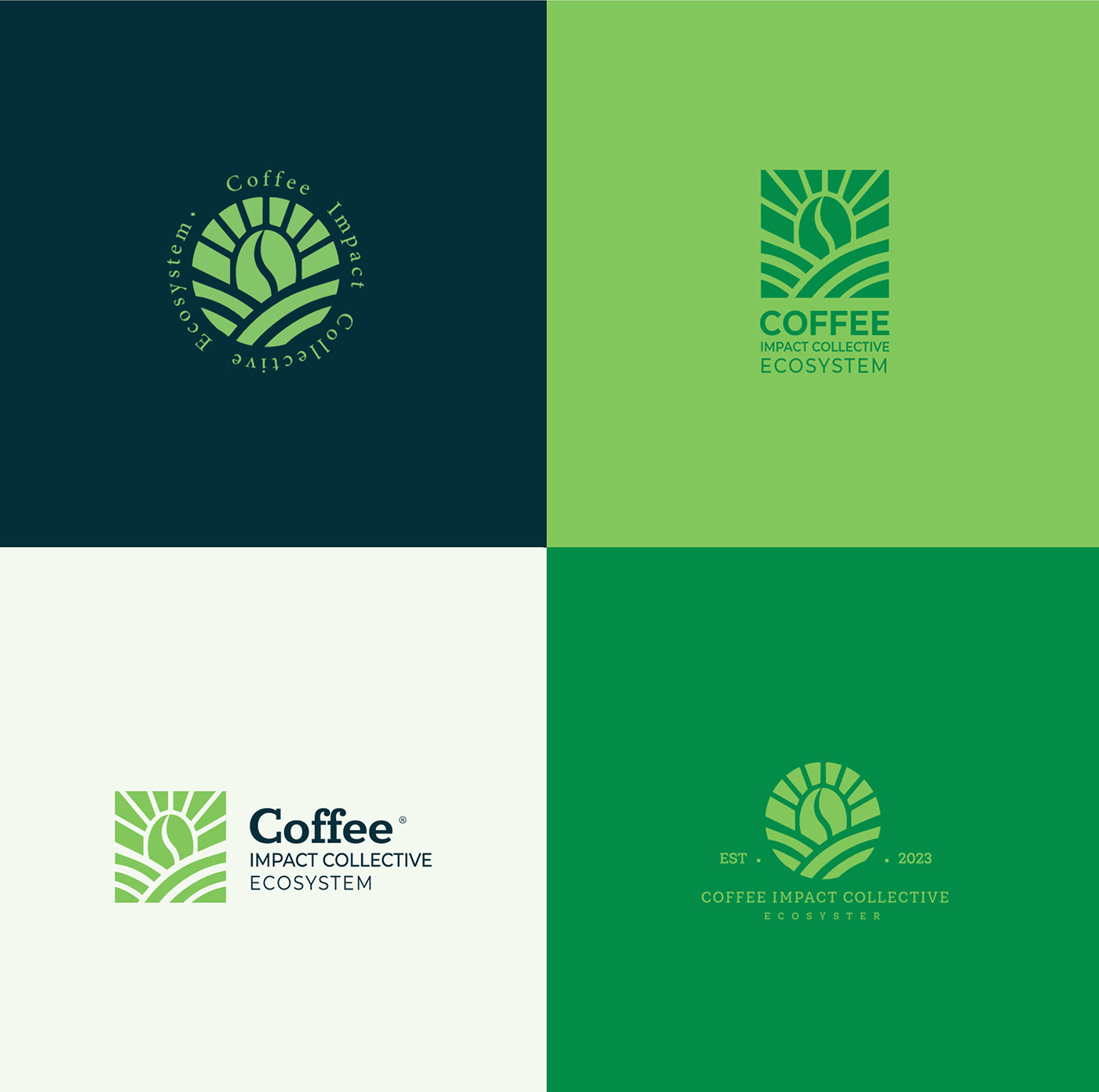 Logo Design brand identity logos Logotype Branding design vector identity adobe illustrator