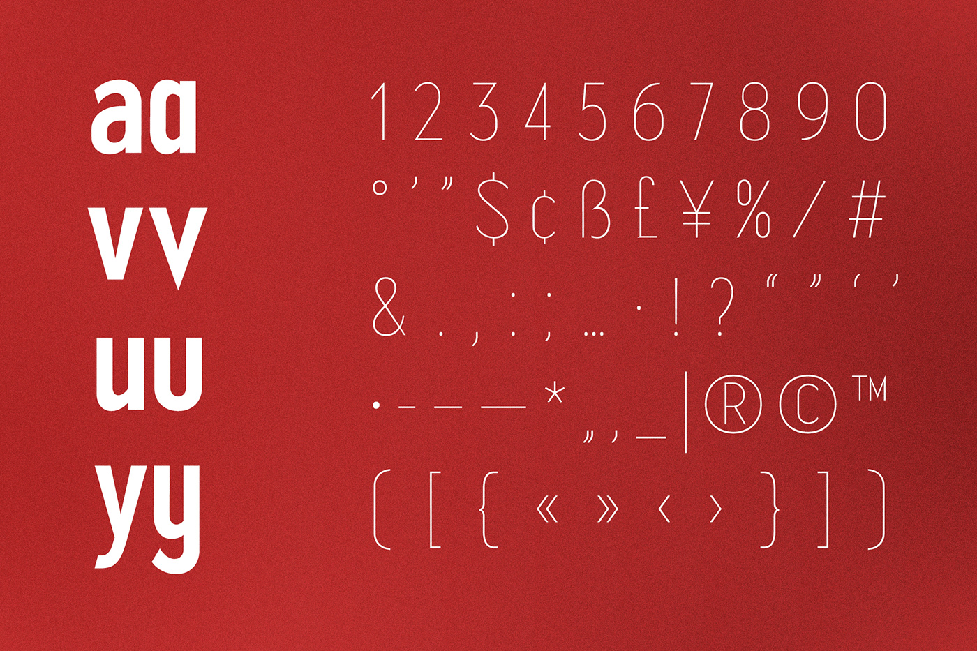 font Typeface typography   brand identity design Social media post designer branding 