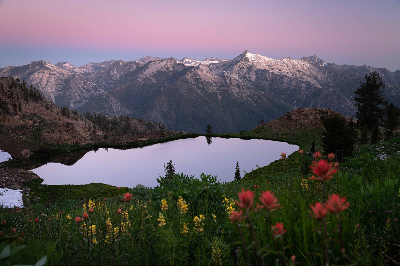 Backpacking California Flowers hiking lake mountains Nature northern california trinity alps wilderness
