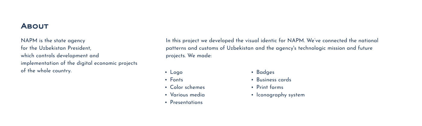 identic identity visual identity typography   brand brandguide branding  logo Logotype Technology