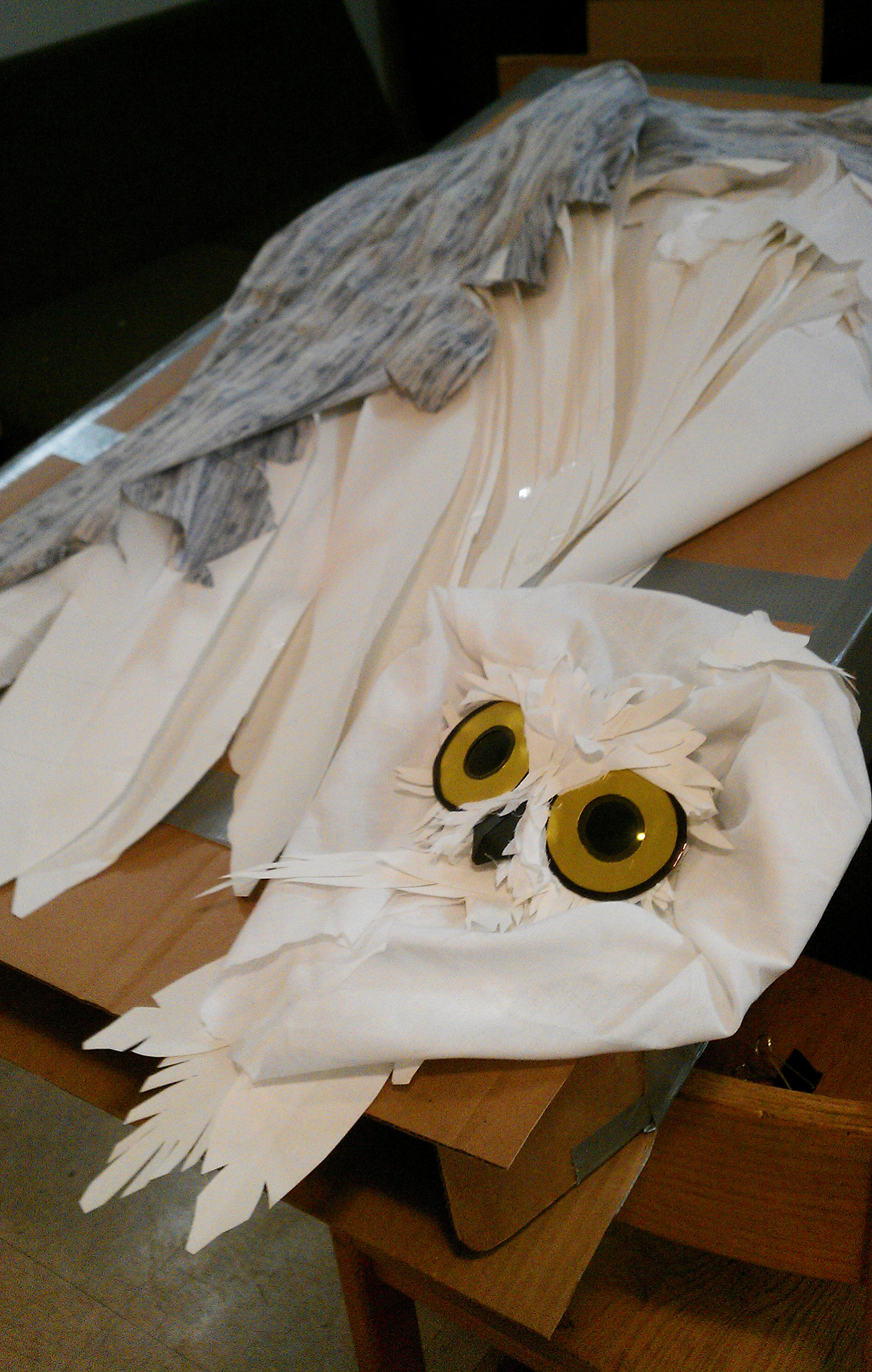 wing  bird  snowy owl owl 3D costume
