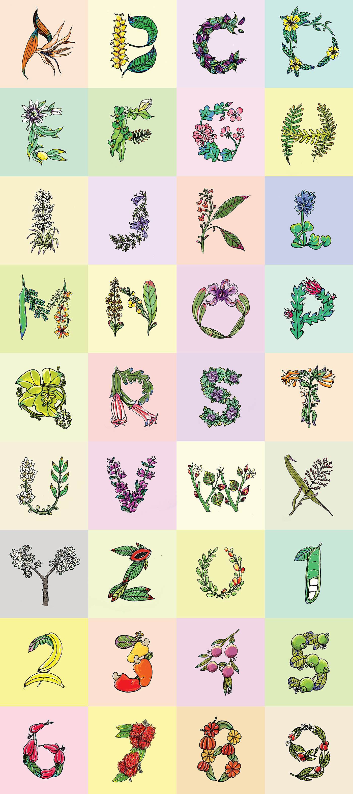 Flora 36daysoftype lettering ABC costarica Drawing  36days number Fruit plants