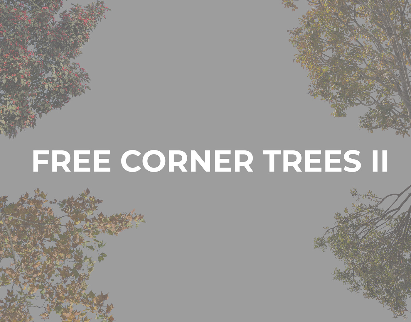 free cutout trees photoshop postproduction autumn Tree  corner architecture arch viz