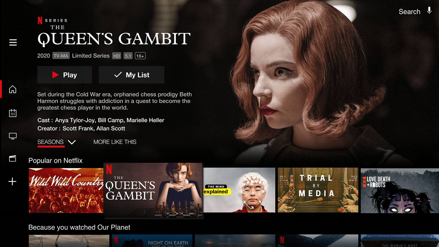Netflix smart tv UI